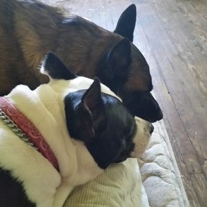 Meet your Posher, Diane